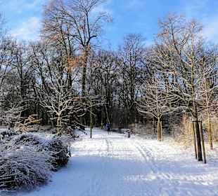 Winterspaziergang durch den Bürgerpark