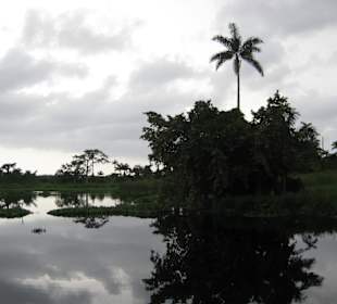 Royal Palm Reserve Negril
