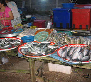 Frischer Fisch auf dem Biang Niang Markt