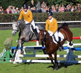 Springquadrille