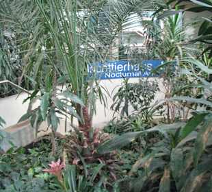 Eingang zum Nachttierhaus