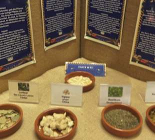 Spicy's Gewürzmuseum