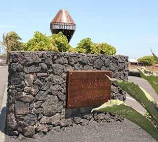 Der Künstler Cesar Manrique (Haus)