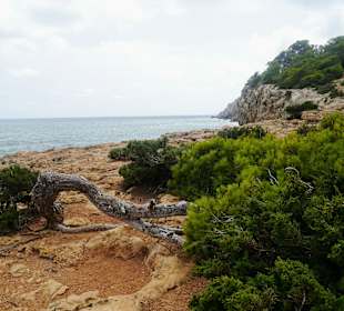 Strand Santa Eulària des Riu