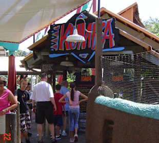 Achterbahn Busch Gardens