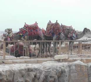 Machen mit allem Geld.