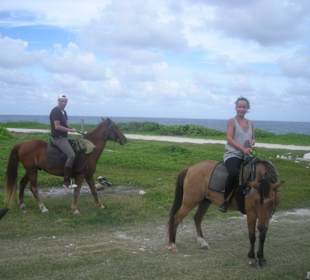 Gemeinsamer Ausritt Punta Cana