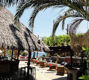 Shimba bar Kiotari