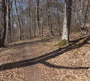 Geologischer Lehrpfad Kirnbachtal