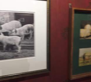 SchweineMuseum