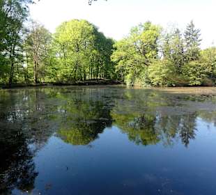 Impressionen aus dem Park Höpkensruh