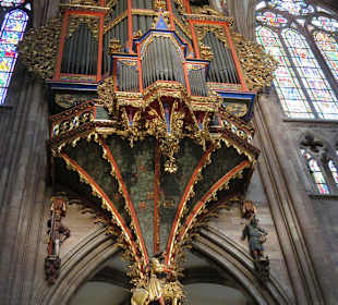 Renovierte Orgel im Münster