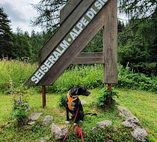 Wandern Seiser Alm