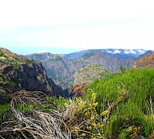 Pico do Arieiro