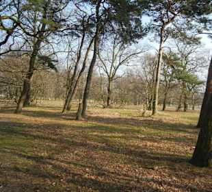 Wunderschöne Boberger Niederung