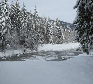 Wanderweg entlang der Bolgenach 