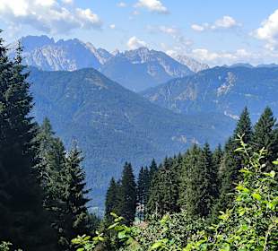 Ausblick