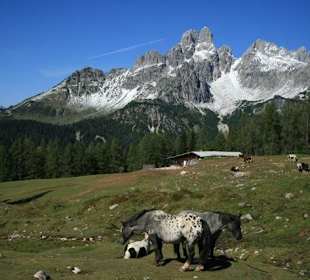 Mooi uitzicht op de Bischofsmütze