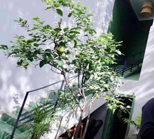 Treppe vom Innenhof zu den Terassen