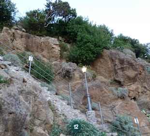 Abends nach dem Konzert im Giardini La Mortella