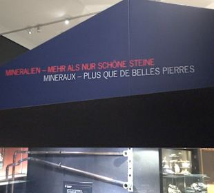 Staatliches Naturkunde Museum