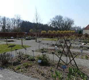 Kräutergarten Übersicht