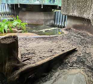 Aquazoo Löbbecke Museum Düsseldorf