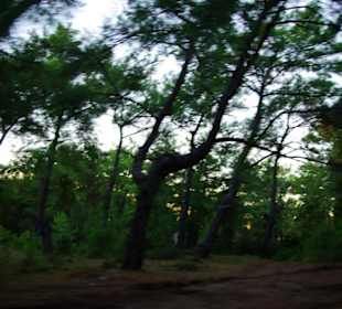 Sulahikulle - Vergessen Stadt