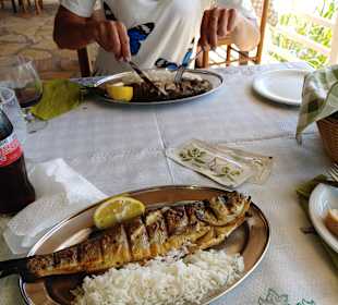 Inselrundfahrt Korfu