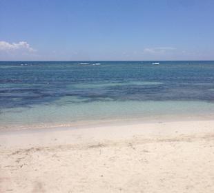 Ausflug Saona mit Ralf