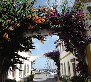 Otoczenie hotelu Club de Mar