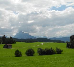 Blick auf Ammergebirge