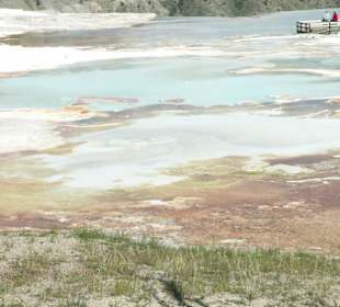 Gayser im  Yellowstone