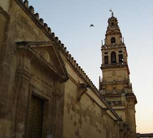 Mezquita