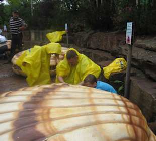 Fischen bei den Muscheln