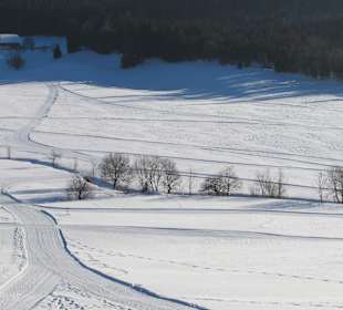Dorf Herrenschwand, hat nur das Restaurant Waldfrieden