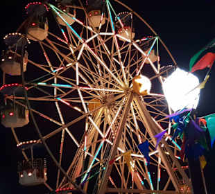 Halloween Horror Fest