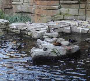 Tierpark Hagenbeck