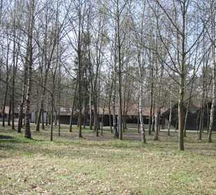 Der Handkeesfestplatz