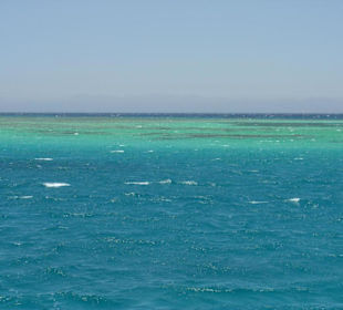 Meer