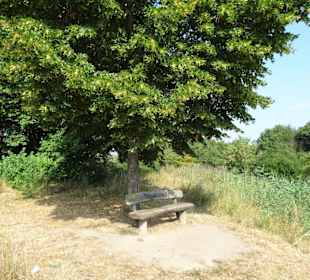 Sommer-Impressionen aus dem Park Links der Weser