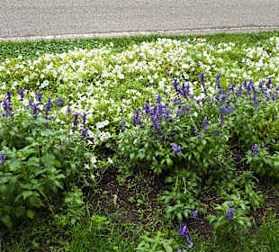 Schön Angelegt alles