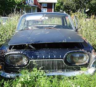 Autofriedhof am Foxen