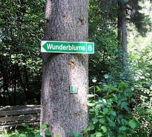 Wandern Lendorf