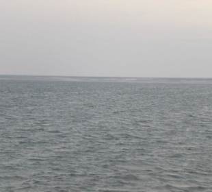 Ausflugsfahrt mit der WEGA 2
