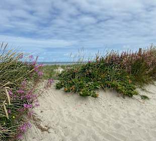 Strand Spiekeroog