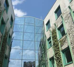 Im Eingangsbereich der Universitätsbibliothek