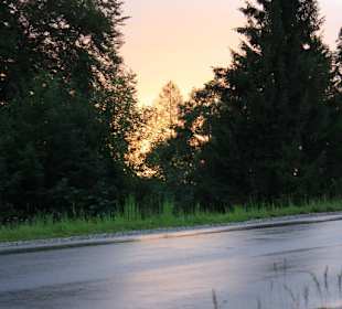 Umgebung beim Schwaltenweiher