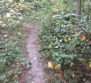 Naturschutzgebiet Listhof