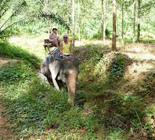 Elefantenreiten im Park
